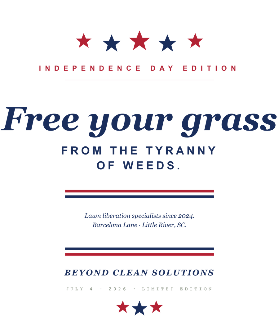 BCS Independence Day Edition t-shirt back graphic