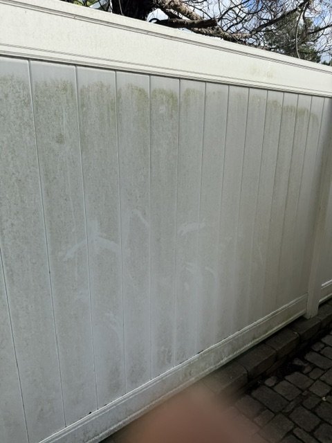 Fence before pressure wash — algae staining