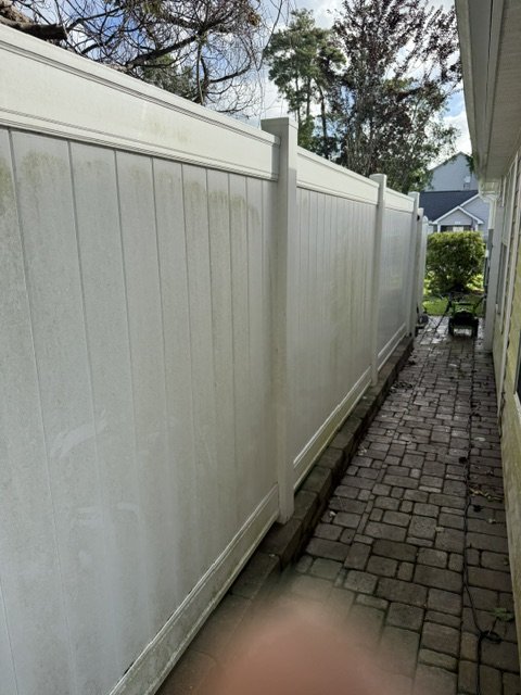 Fence before — full length view showing algae