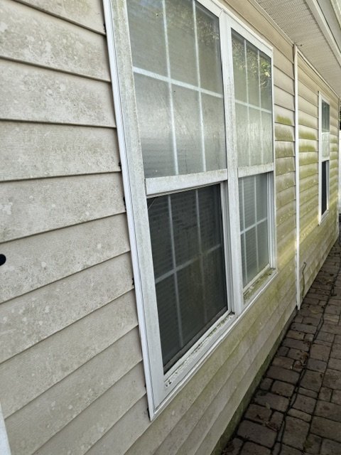 House siding before — heavy algae growth